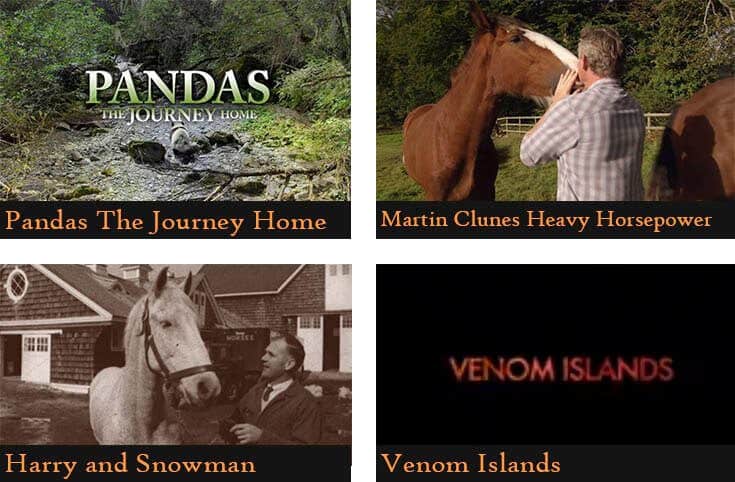 50 Netflix Shows & Documentaries For Animal Lovers
