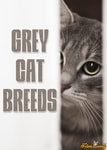 Most Fabulous Gray Cat Breeds And Their Characteristics Grey Cat Breeds