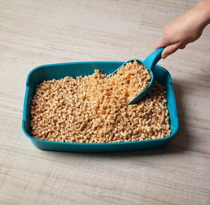 Top 5 Best Flushable Cat Litters [2019 Buyer’s Guide]