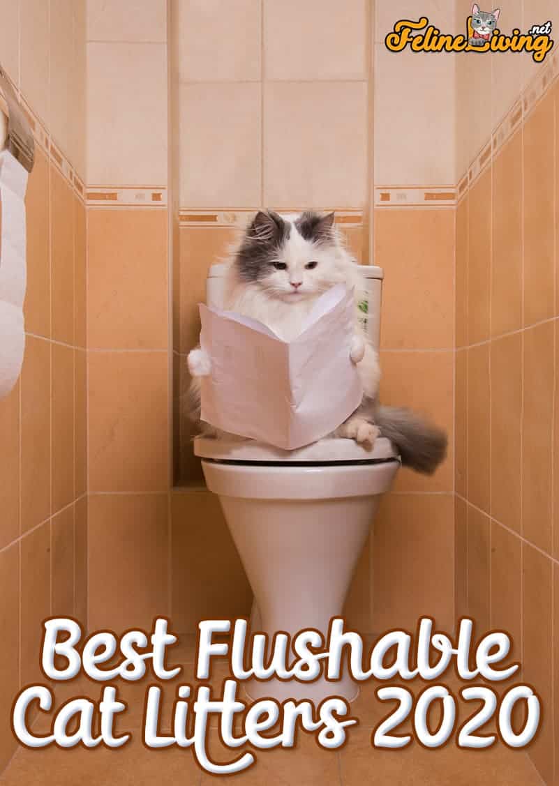 Top 5 Best Flushable Cat Litters [2020 Buyer’s Guide]