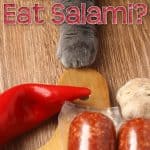 Can Cats Eat Salami