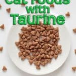 Best Cat Food with Taurine: 10 Paws-itively Healthy Options to Try Best Cat Food With Taurine