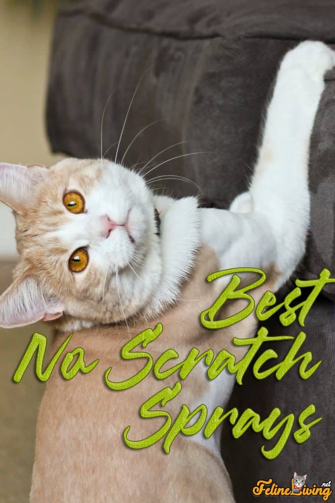 Best No Scratch Spray for Cats